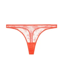 Journelle Romy Thong Underwear 9 Journelle Romy Thong Underwear