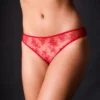 Journelle Underwear Romy Bikini 1 Journelle Underwear Romy Bikini