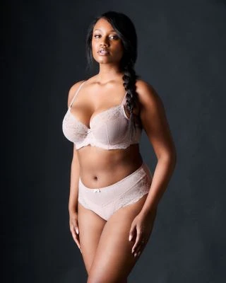 Panache Lingerie Ana Bikini Brief Underwear 5 Panache Lingerie Ana Bikini Brief Underwear