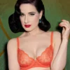 Dita Von Teese Tryst Balconette Bra DD+