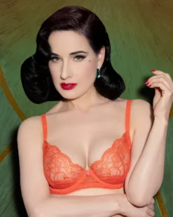Dita Von Teese Tryst Balconette Bra DD+