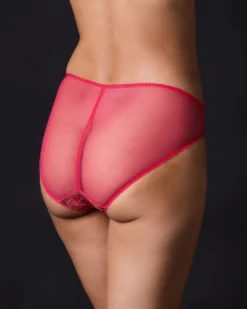 Dita Von Teese Evelina Bikini Underwear