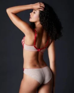 TeAmore Spotlight Embroidered Brief TeAmore