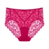 Hanro Luxury Moments Lace Back Brief