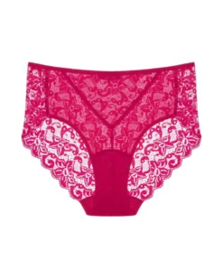 Hanro Luxury Moments Lace Back Brief