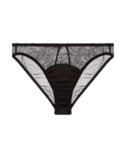 Fleur Of England Ida Brief