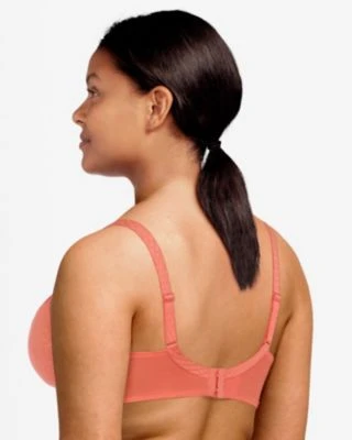 Chantelle Montaigne Plunge Underwire Bra 5 Chantelle Montaigne Plunge Underwire Bra