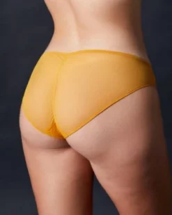 Chantal Thomass Sale Encens Moi Dentelle Brief