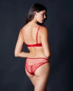 Fleur Of England Adeline Brief