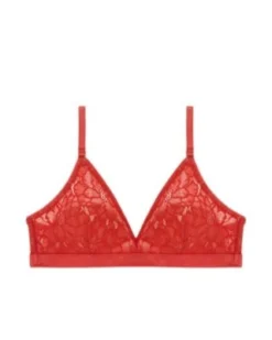 Underprotection Sale Feline Bra