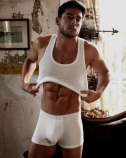 Hanro Cotton Superior Tank Top