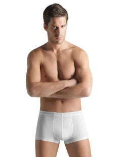 Hanro Cotton Superior Boxer Brief Underwear