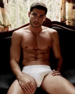 Hanro Underwear Cotton Superior Brief