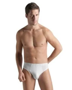 Hanro Underwear Cotton Superior Brief