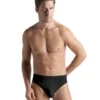 Hanro Cotton Superior Brief