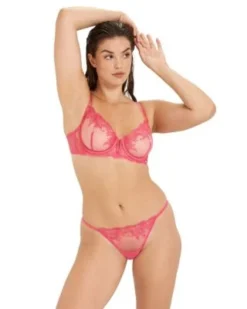 Bluebella Marseille Brief Underwear