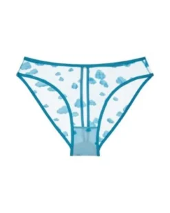 Le Petit Trou Nuage Ouvert Brief