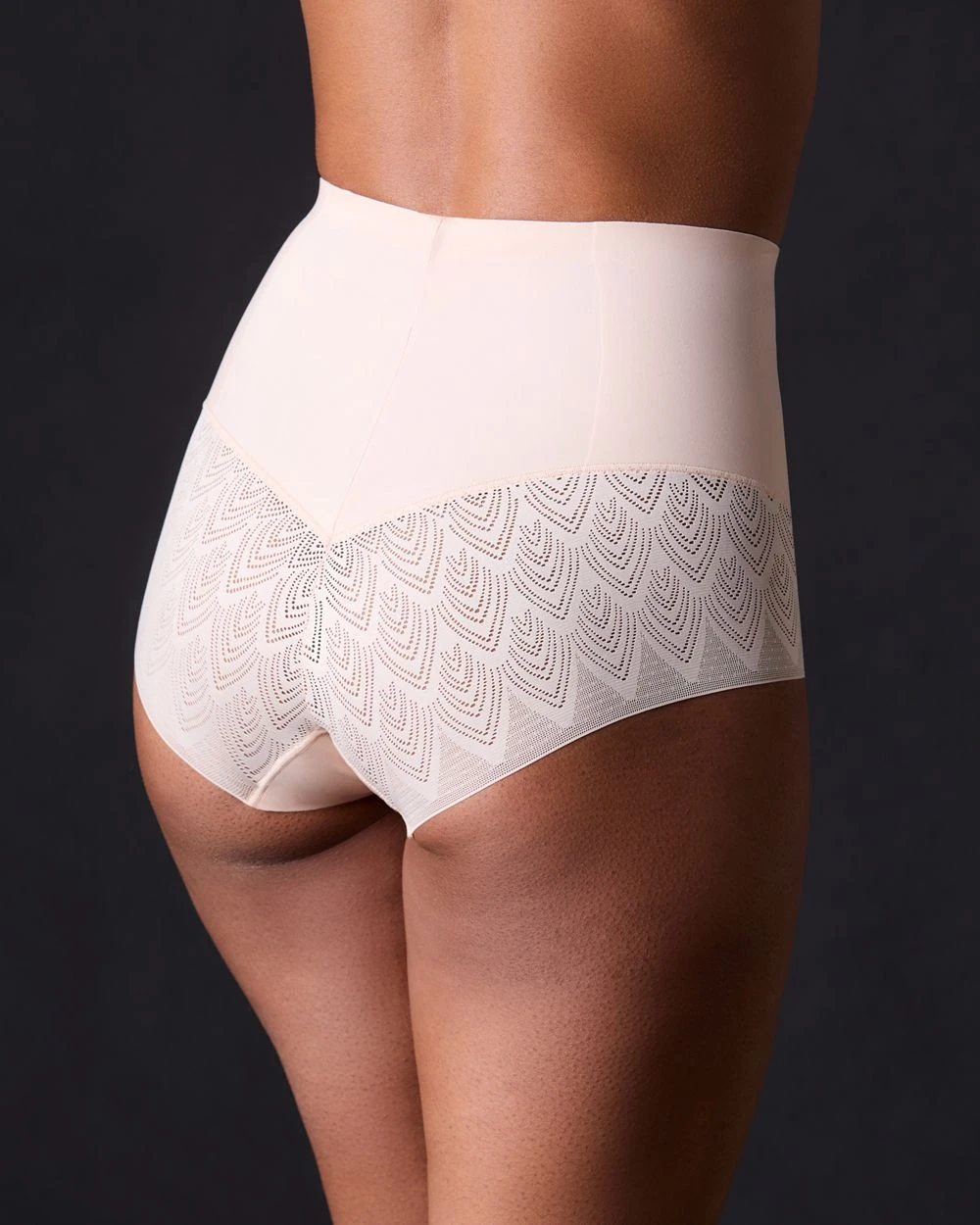 Chantelle Lace Shapewear High Waist Shaper Brief High Waisted 4 Chantelle Lace Shapewear High Waist Shaper Brief High Waisted