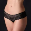 Chantelle Fleurs Hipster Underwear