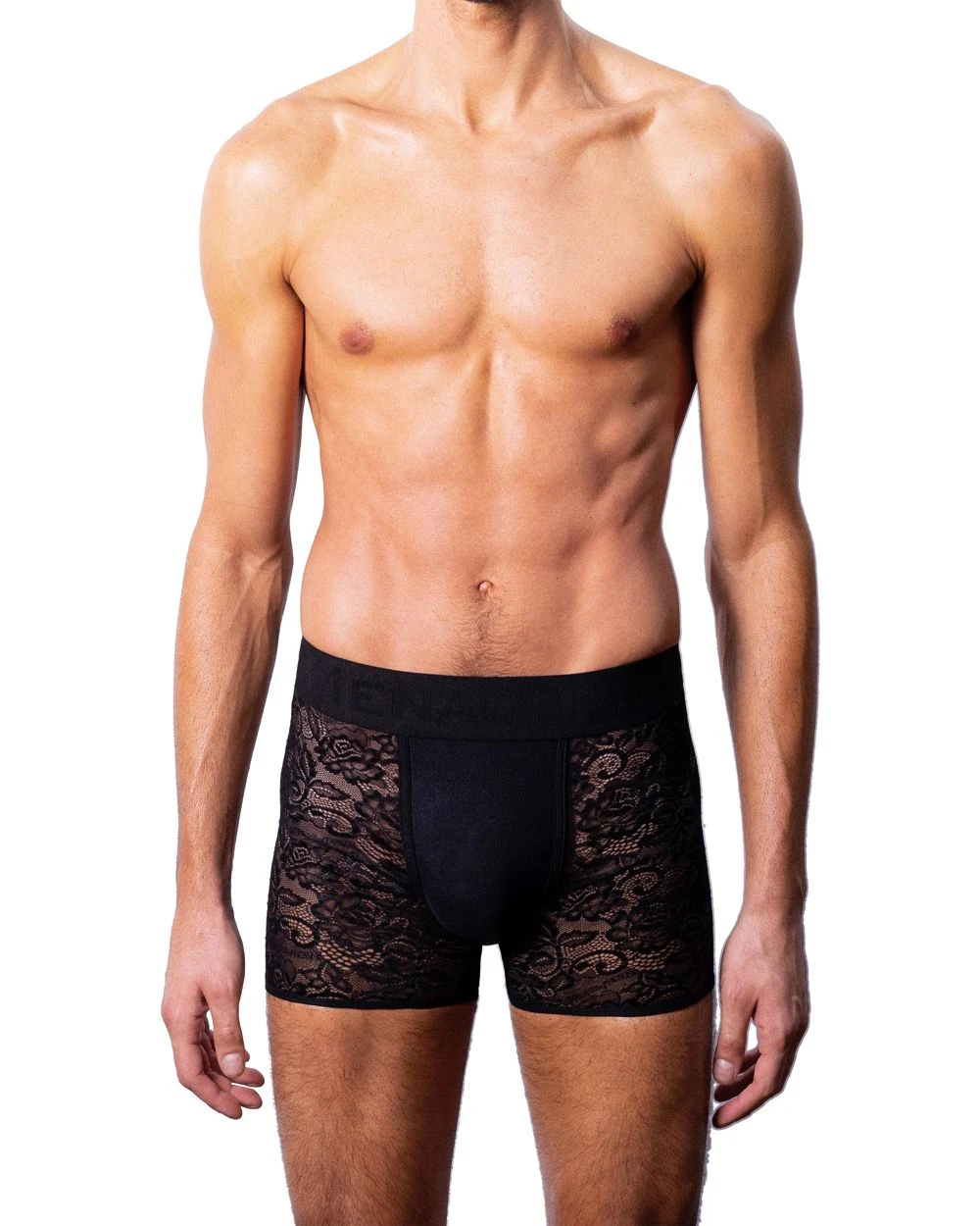 Menagerie Underwear Core Lace Boxer Brief 4 Menagerie Underwear Core Lace Boxer Brief