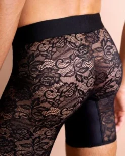 Menagerie Core Lace Midway Brief Underwear