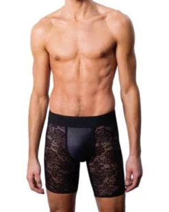Menagerie Core Lace Midway Brief Underwear