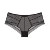 Samantha Chang Jet Set Mesh Hipster Underwear