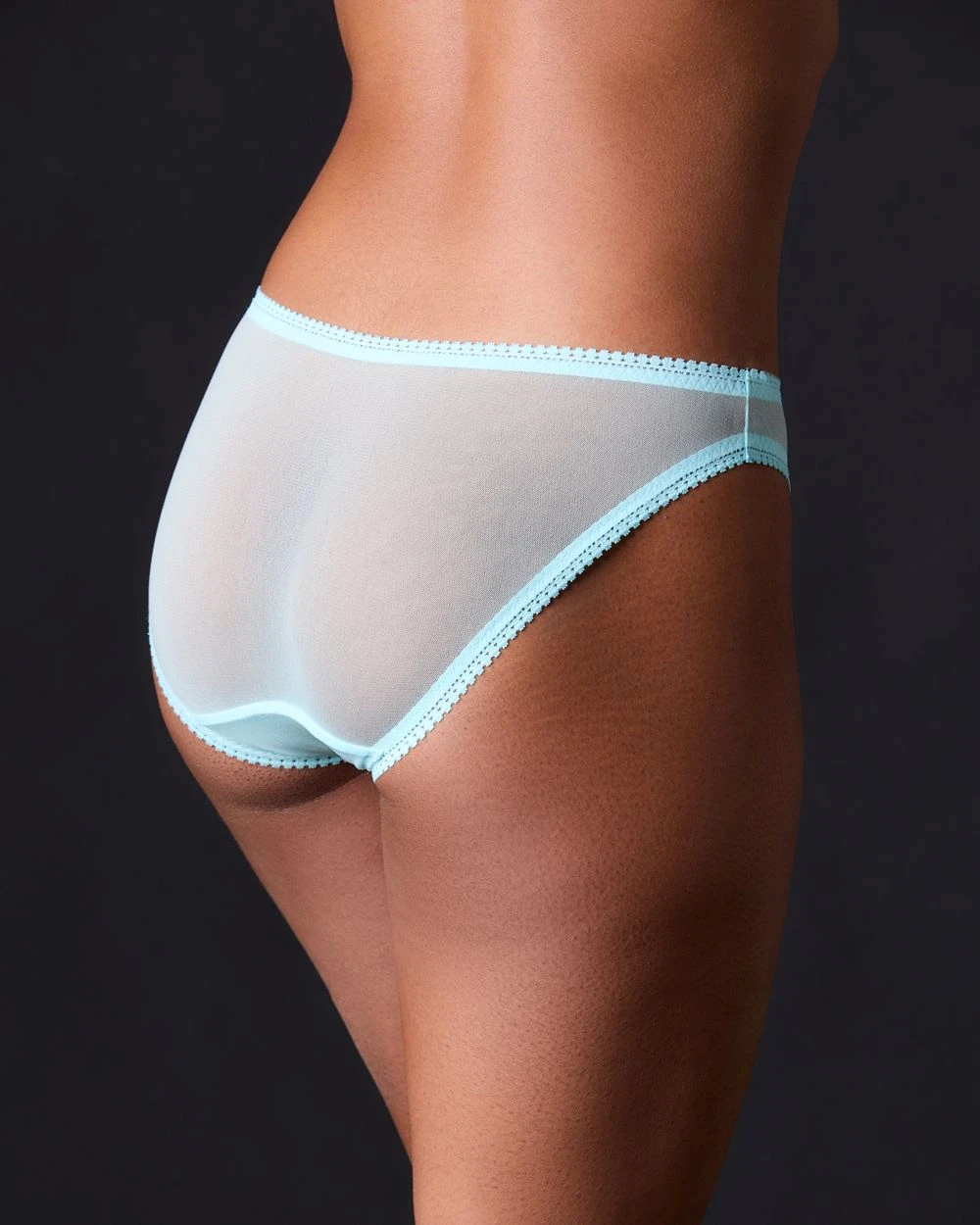 OnGossamer Underwear Solid Mesh Hip Bikini 4 OnGossamer Underwear Solid Mesh Hip Bikini