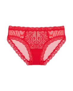 Natori Boyshort Feathers Hipster